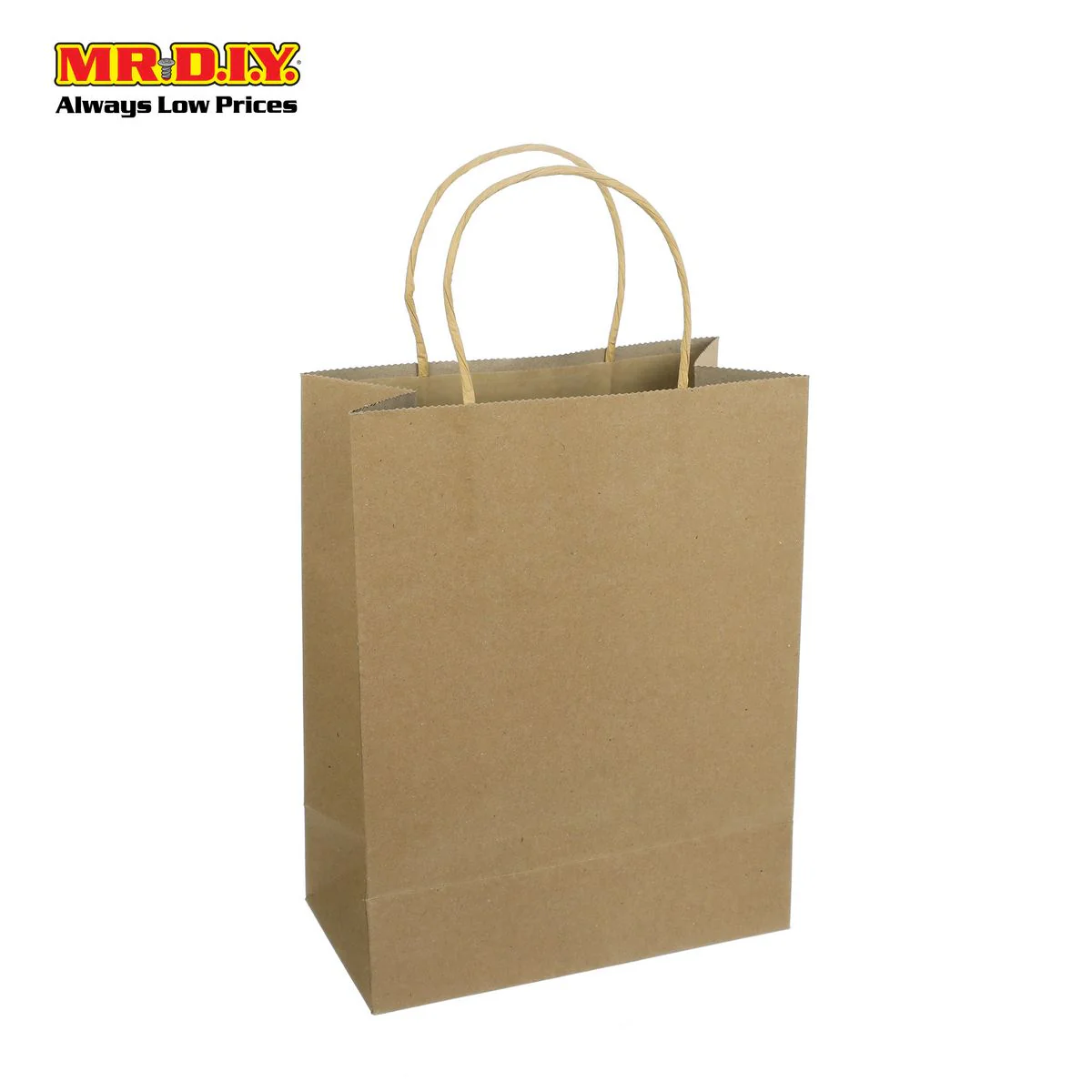 Paper Bag 21*11*27CM